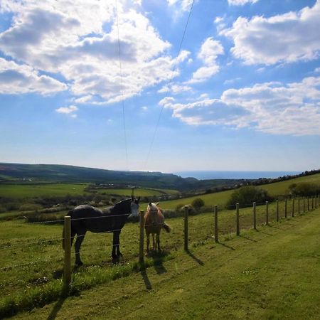 1 Bed In Boscastle Lpenc Villa Luaran gambar